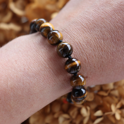 Black Edit Tiger's Eye Polished YG Bracelet